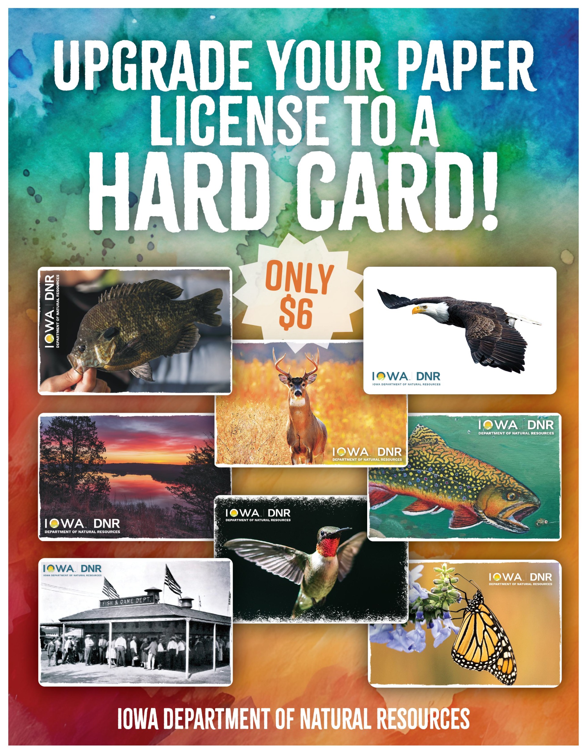 Upgrade Your Paper License to a Durable Hard Card